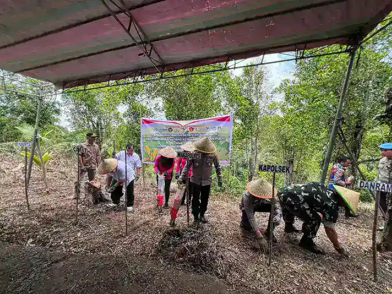 Polres Minahasa Dukung Swasembada Pangan, Gelar Penanaman Jagung Serentak Kuartal IV Tahun 2025